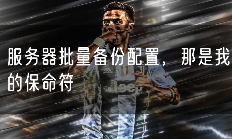 服务器批量备份配置，那是我的保命符