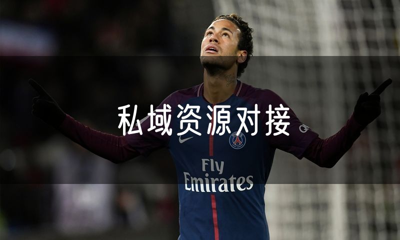 私域资源对接