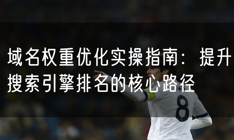 域名权重优化实操指南：提升搜索引擎排名的核心路径