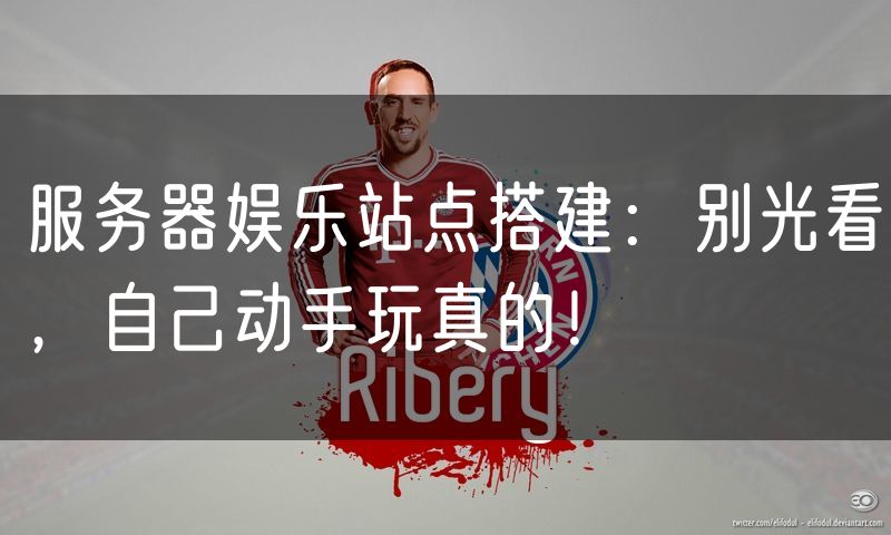 服务器娱乐站点搭建:别光看,自己动手玩真的!