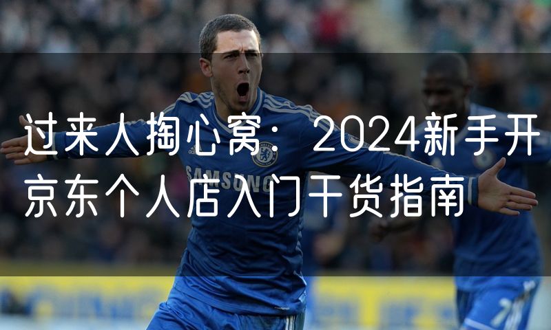 过来人掏心窝:2024新手开京东个人店入门干货指南