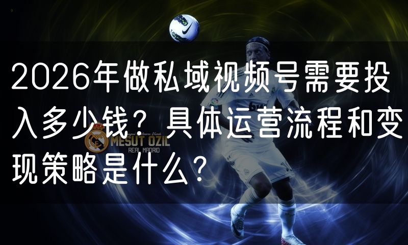 2026年做私域视频号需要投入多少钱?具体运营流程和变现策略是什么?