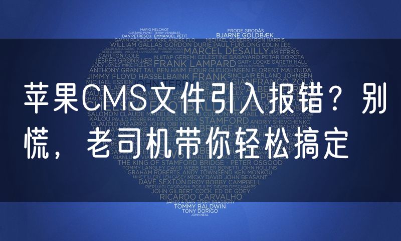 苹果CMS文件引入报错?别慌,老司机带你轻松搞定