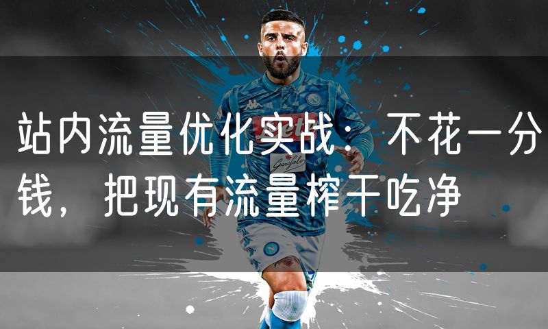 站内流量优化实战：不花一分钱，把现有流量榨干吃净