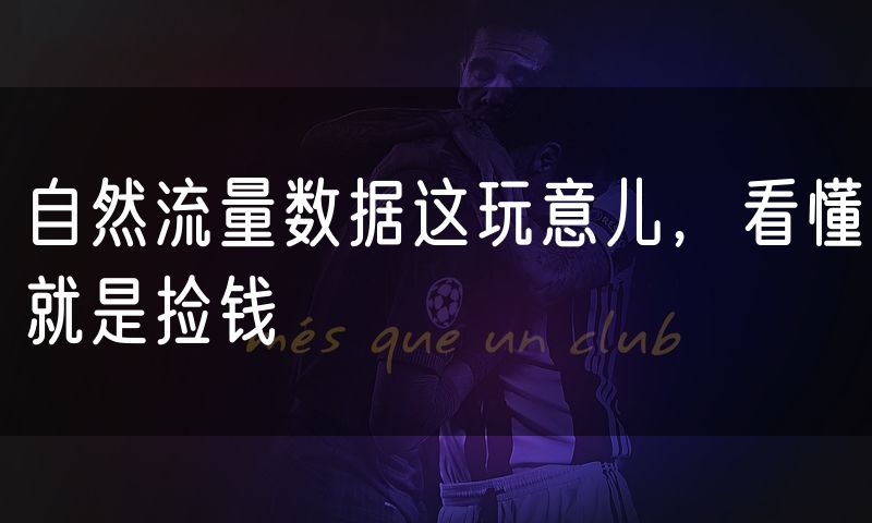 自然流量数据这玩意儿,看懂就是捡钱