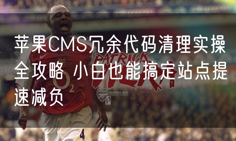 苹果CMS冗余代码清理实操全攻略 小白也能搞定站点提速减负