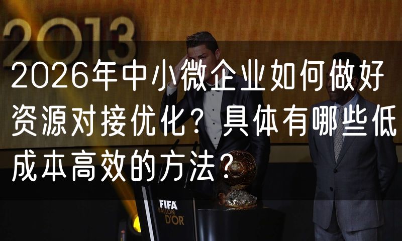 2026年中小微企业如何做好资源对接优化?具体有哪些低成本高效的方法?