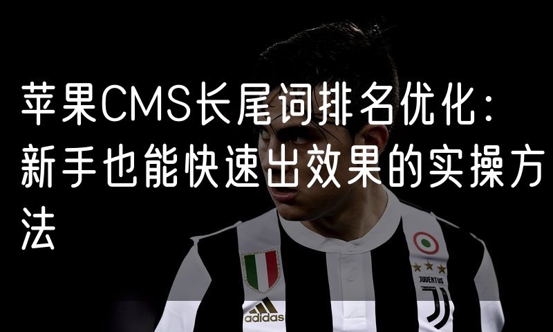 苹果CMS长尾词排名优化:新手也能快速出效果的实操方法