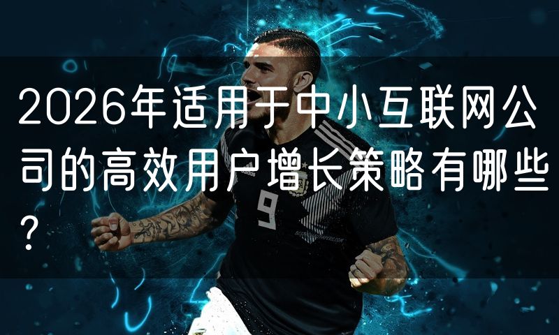 2026年适用于中小互联网公司的高效用户增长策略有哪些?