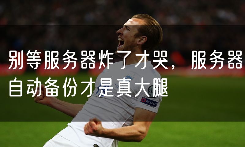 别等服务器炸了才哭,服务器自动备份才是真大腿