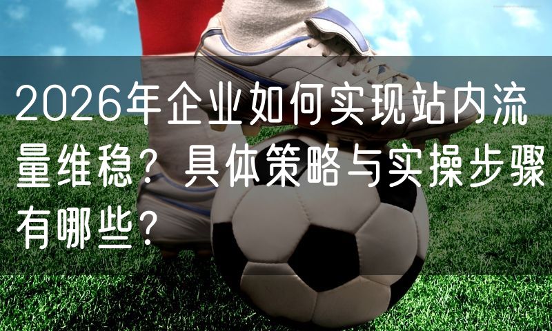 2026年企业如何实现站内流量维稳？具体策略与实操步骤有哪些？
