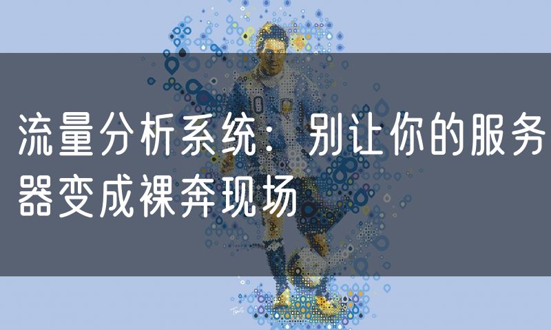 流量分析系统:别让你的服务器变成裸奔现场
