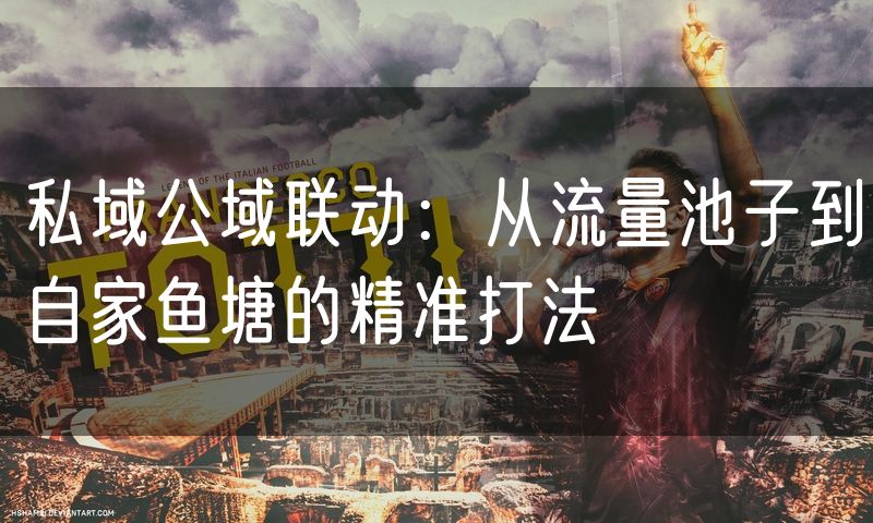 私域公域联动:从流量池子到自家鱼塘的精准打法