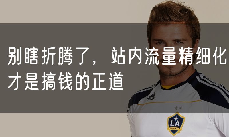 别瞎折腾了，站内流量精细化才是搞钱的正道