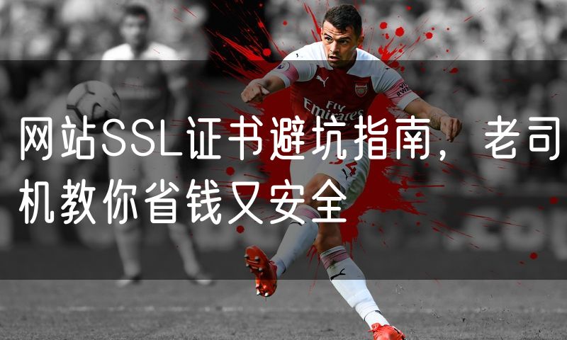 网站SSL证书避坑指南,老司机教你省钱又安全