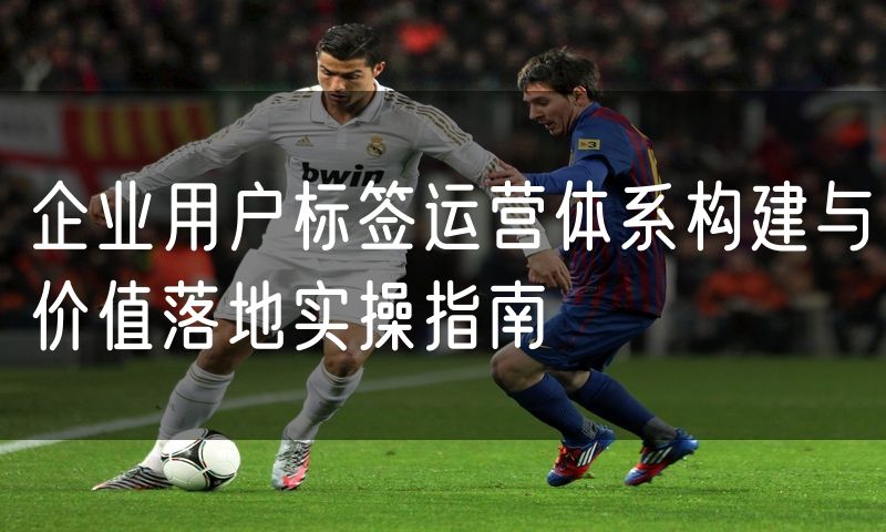 企业用户标签运营体系构建与价值落地实操指南