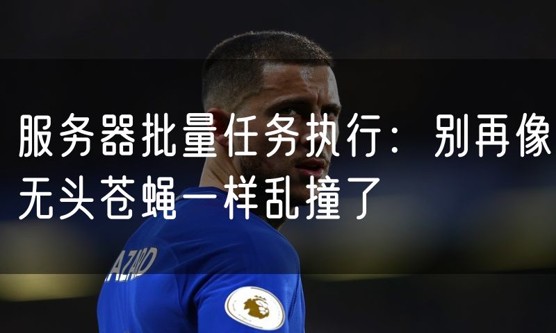 服务器批量任务执行:别再像无头苍蝇一样乱撞了
