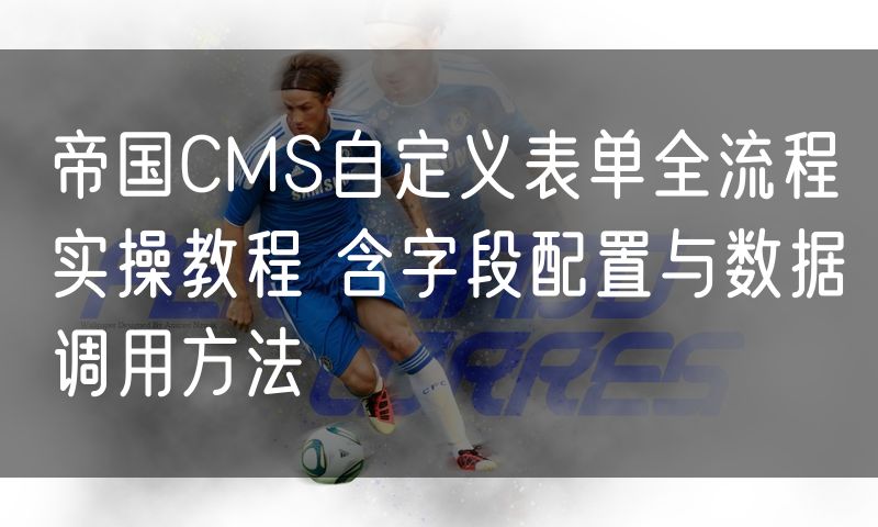 帝国CMS自定义表单全流程实操教程 含字段配置与数据调用方法