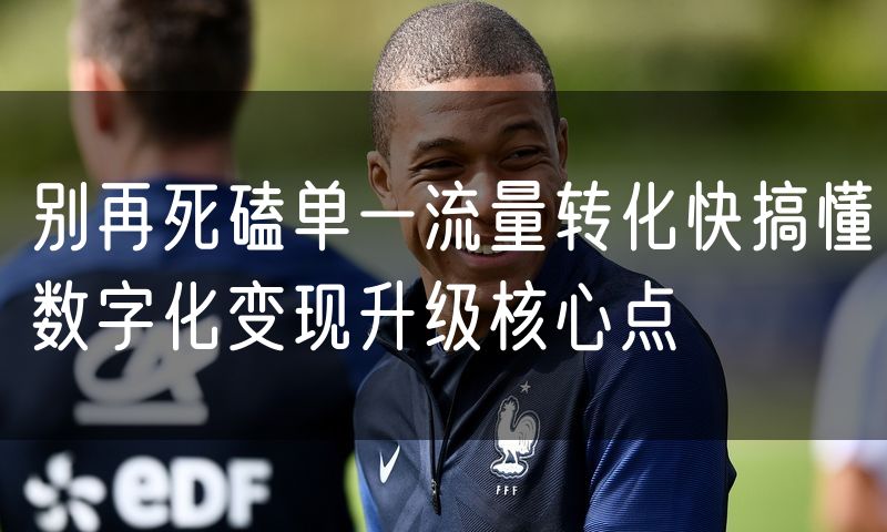 别再死磕单一流量转化快搞懂数字化变现升级核心点