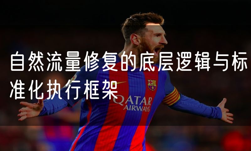 自然流量修复的底层逻辑与标准化执行框架