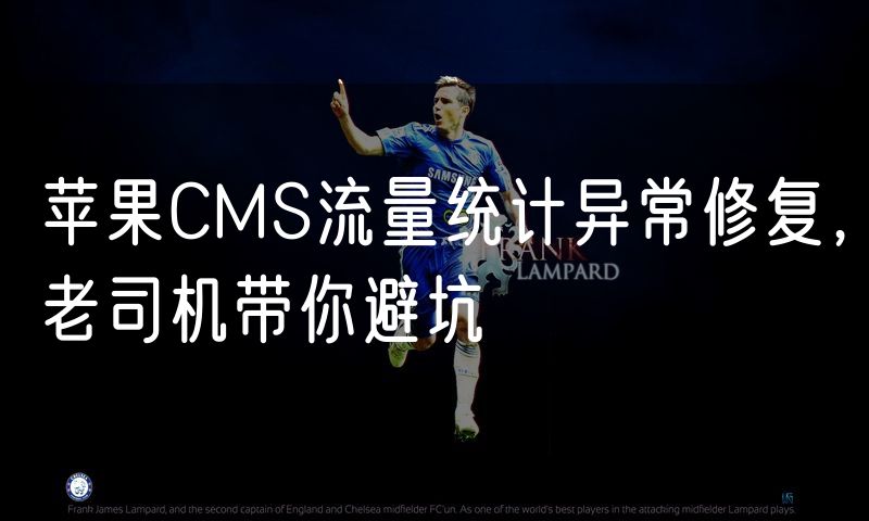 苹果CMS流量统计异常修复，老司机带你避坑