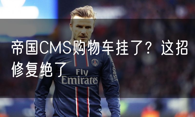 帝国CMS购物车挂了?这招修复绝了