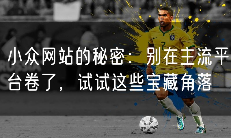 小众网站的秘密：别在主流平台卷了，试试这些宝藏角落