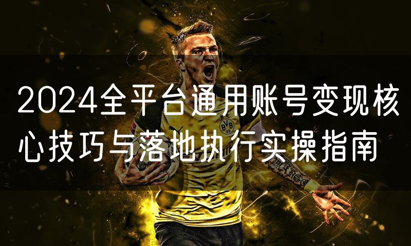 2024全平台通用账号变现核心技巧与落地执行实操指南