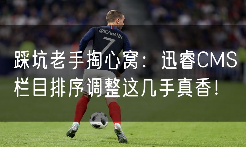 踩坑老手掏心窝:迅睿CMS栏目排序调整这几手真香!
