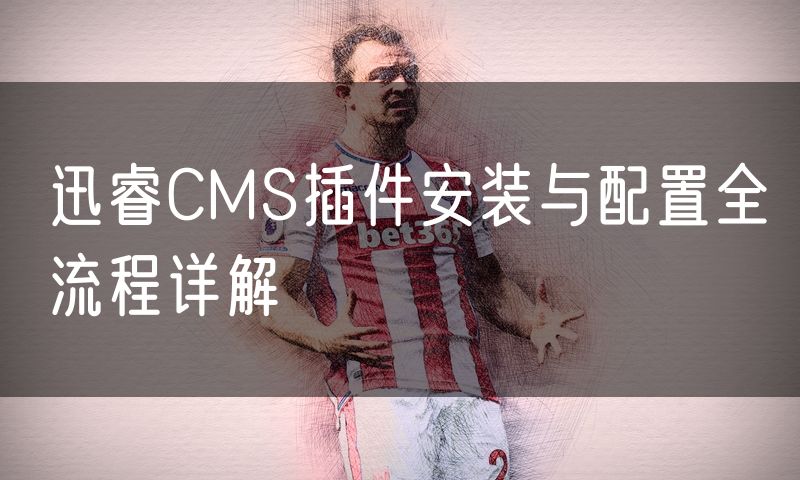 迅睿CMS插件安装与配置全流程详解