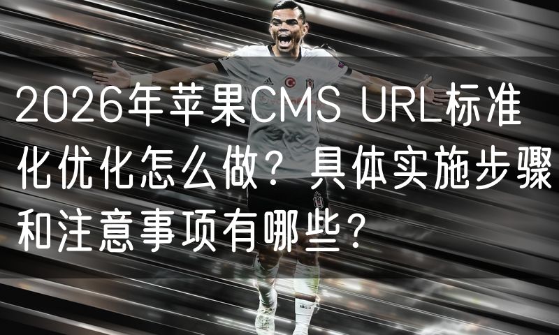 2026年苹果CMS URL标准化优化怎么做?具体实施步骤和注意事项有哪些?