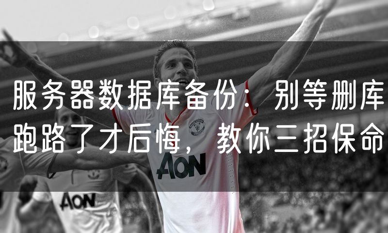 服务器数据库备份:别等删库跑路了才后悔,教你三招保命