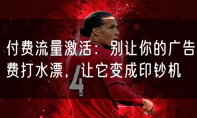 付费流量激活：别让你的广告费打水漂，让它变成印钞机