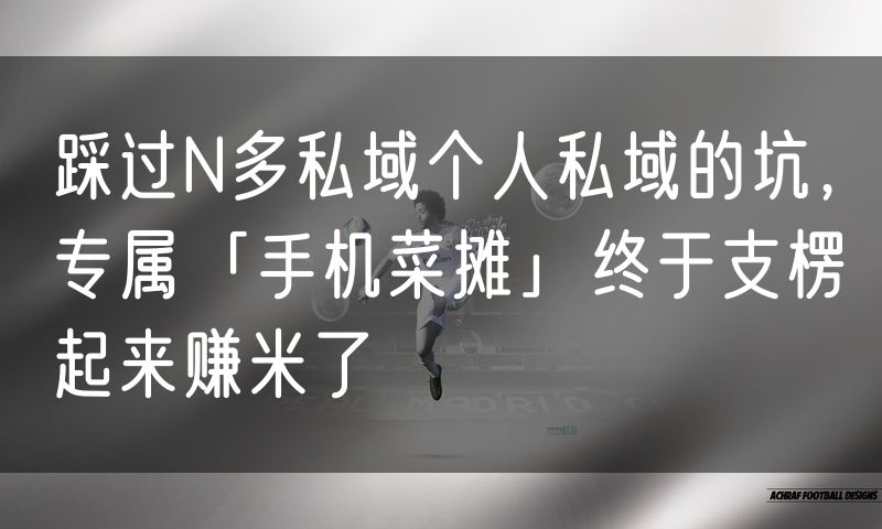踩过N多私域个人私域的坑,专属「手机菜摊」终于支楞起来赚米了