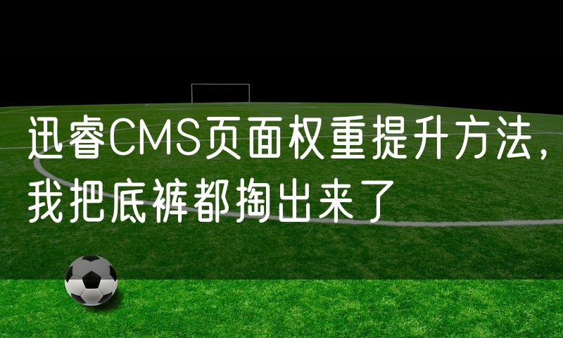 迅睿CMS页面权重提升方法,我把底裤都掏出来了