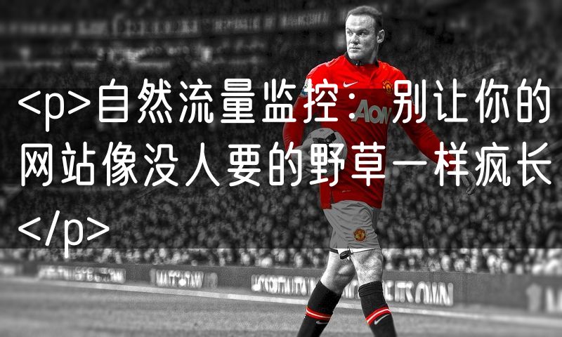<p>自然流量监控:别让你的网站像没人要的野草一样疯长</p>
