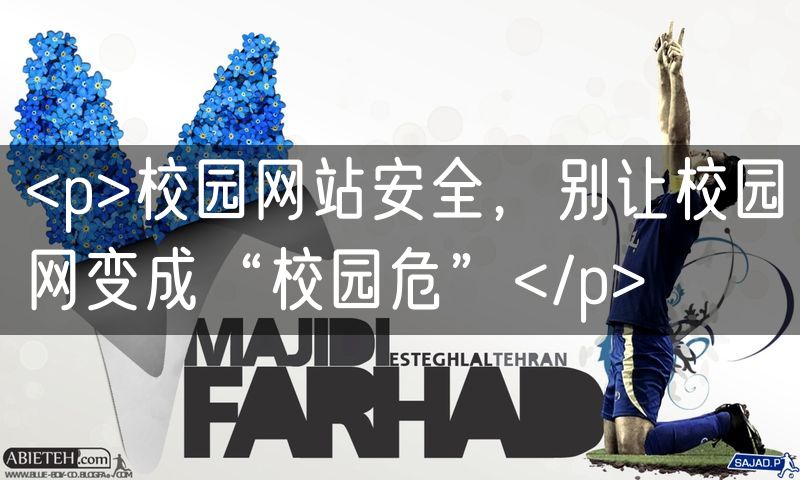 <p>校园网站安全,别让校园网变成“校园危”</p>