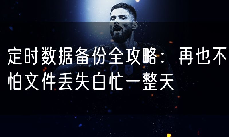 定时数据备份全攻略:再也不怕文件丢失白忙一整天