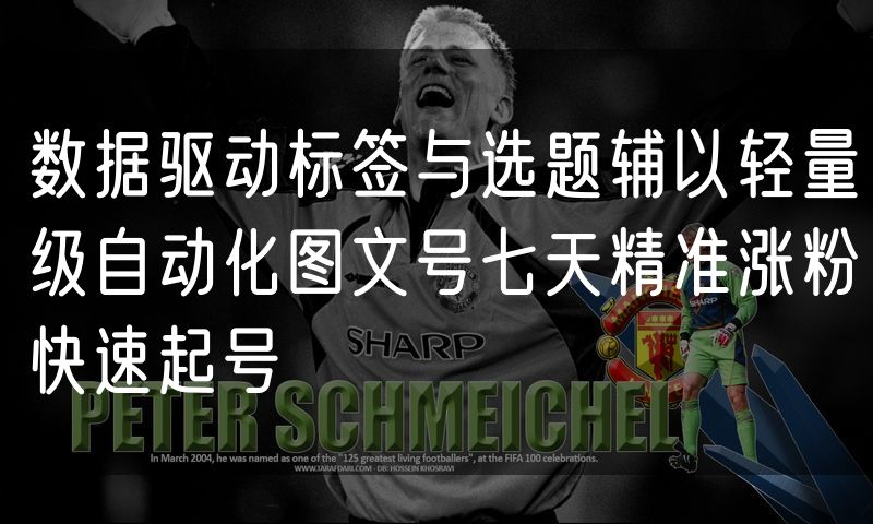 数据驱动标签与选题辅以轻量级自动化图文号七天精准涨粉快速起号