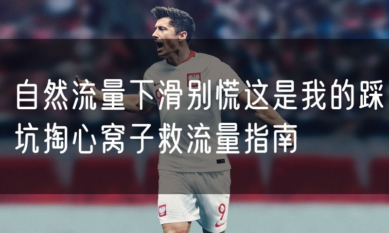 自然流量下滑别慌这是我的踩坑掏心窝子救流量指南