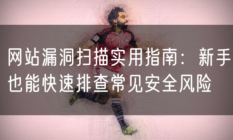 网站漏洞扫描实用指南:新手也能快速排查常见安全风险