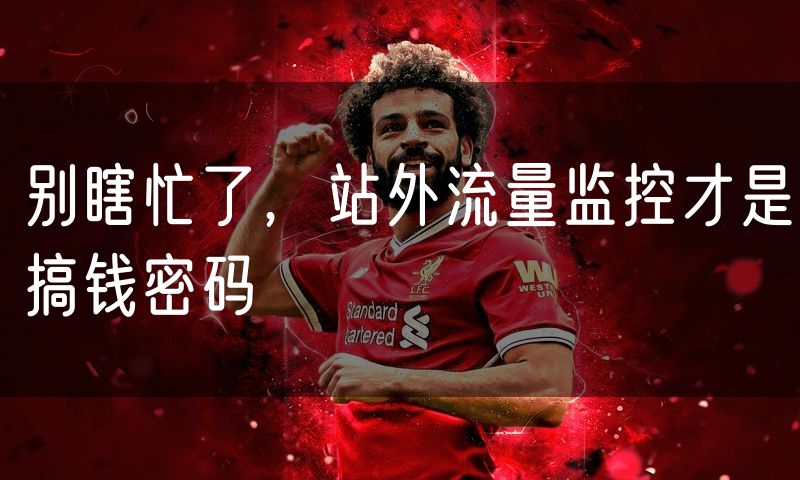 别瞎忙了，站外流量监控才是搞钱密码