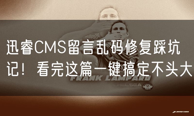迅睿CMS留言乱码修复踩坑记!看完这篇一键搞定不头大