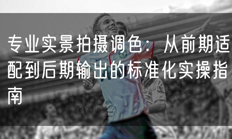 专业实景拍摄调色:从前期适配到后期输出的标准化实操指南