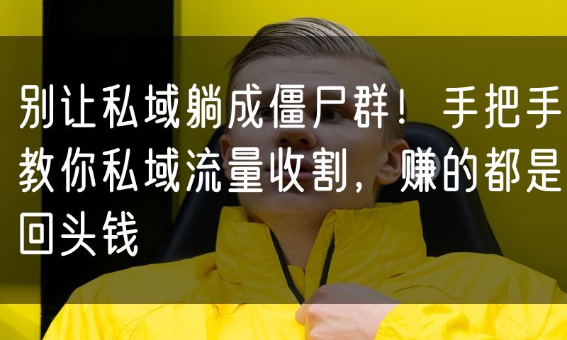 别让私域躺成僵尸群！手把手教你私域流量收割，赚的都是回头钱