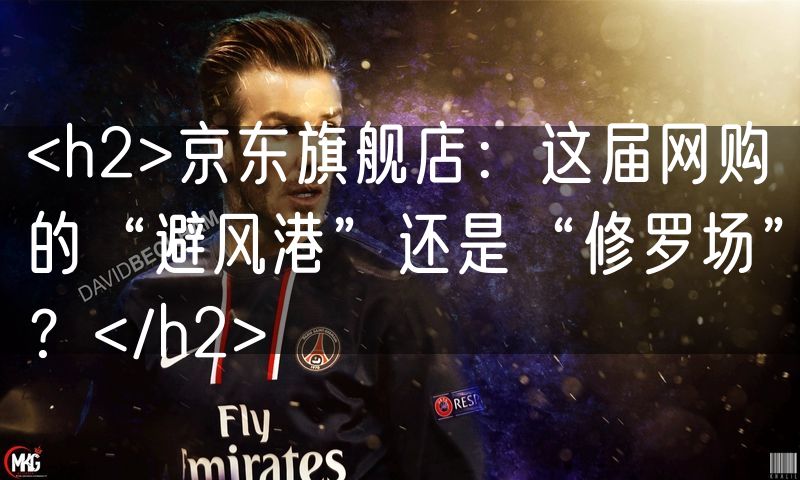 <h2>京东旗舰店：这届网购的“避风港”还是“修罗场”？</h2>