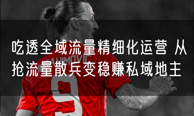 吃透全域流量精细化运营 从抢流量散兵变稳赚私域地主