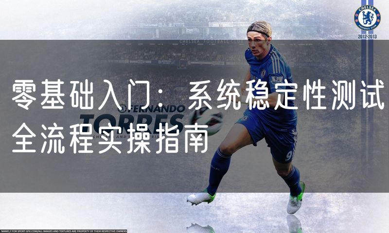 零基础入门:系统稳定性测试全流程实操指南