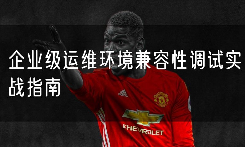 企业级运维环境兼容性调试实战指南