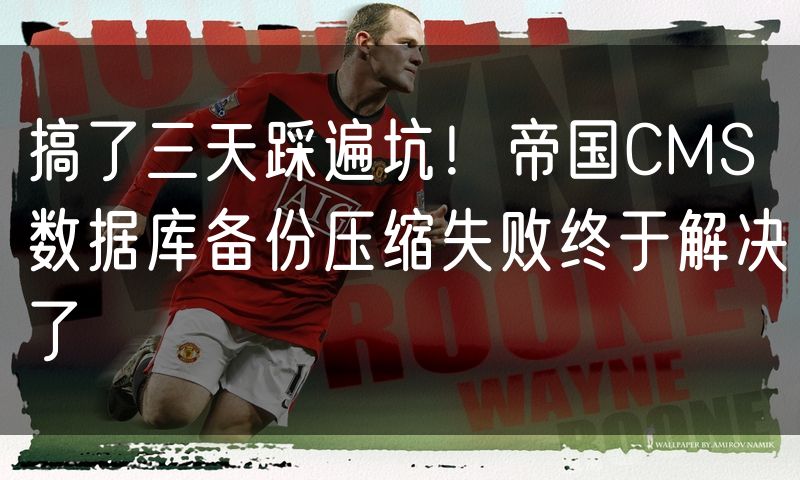 搞了三天踩遍坑!帝国CMS数据库备份压缩失败终于解决了